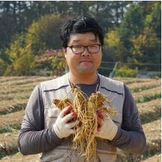 금산인삼 5년근6년근 수삼 원삼 일반삼 일반 무료세척