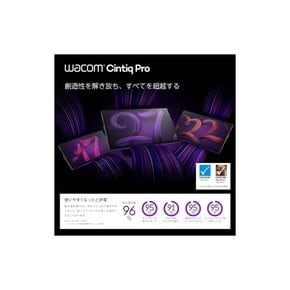 와콤 액탭 액정 펜 태블릿 173형 Wacom Cintiq Pro 17 DTH172K4C