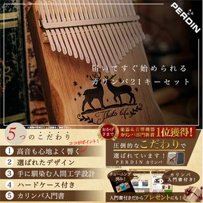 21 kalimba 칼림바 초보자 세트 키 튜닝 완료 일본어 악보 첨부 입문서 첨부 케이스 첨부