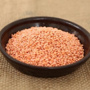 [2025년산] 캐나다산 탈피렌틸콩 500g