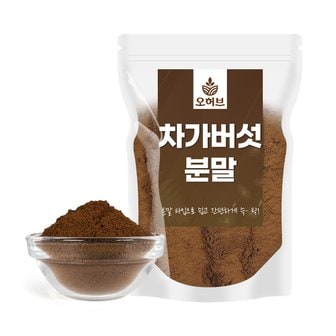 오허브 차가버섯 분말 차가버섯가루 250g