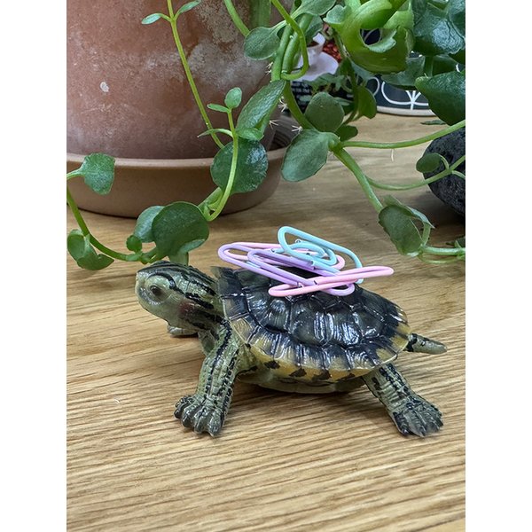 붉은 귀거북 자석 클립 정리 오브제