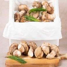 S 산지직송 친환경 경북구미 진송향버섯 1kg(가정용) 송향 송화 송...