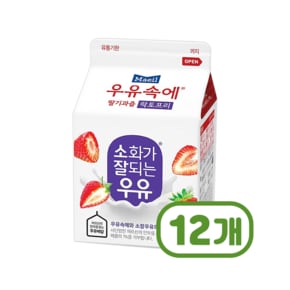 매일 우유속에딸기 락토프리 팩우유 300ml x 12개