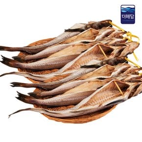 동해바다 집나간 반건코다리 8마리
