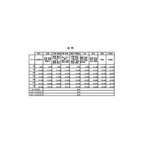 G-13 가오가이가- DX 사운드 로보 마이크 바리바리린