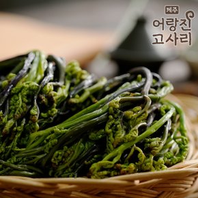 [제주어랑진]26년 제주 한라산 햇 고사리 300g x 8팩, 총 2.4kg