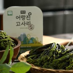 [제주어랑진]26년 제주 한라산 햇 고사리 300g x 8팩, 총 2.4kg