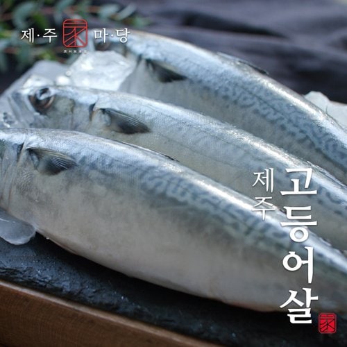 이미지 P
