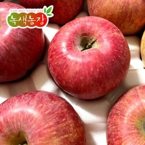 [녹색농장]경북보조개사과10kg(개당188-294g)