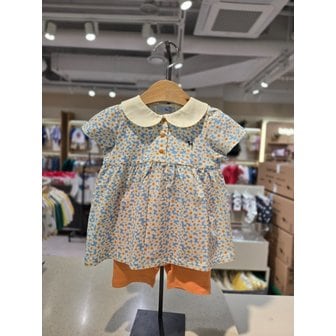 블루독베이비 [파주점] (BL)  데이지 상하세트 4537067206