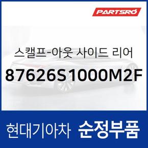 올뉴 싼타페TM 사이드미러커버 백미러커버,조수석쪽 (마그네틱 그레이메탈릭) (87626S1000M2F)