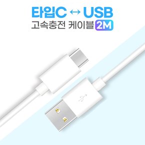 태클라스트 APEX Neotab Z12 PRO C타입 고속 충전 케이블 2m