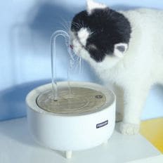 고양이 강아지 식수기 정수기 펫 반려동물 물먹이기 반려견 음수대 물통 음수기 급수기 자동급수기