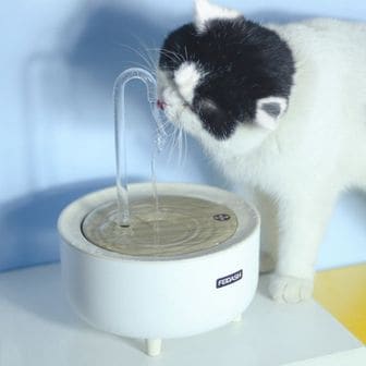  고양이 강아지 식수기 정수기 펫 반려동물 물먹이기 반려견 음수대 물통 음수기 급수기 자동급수기