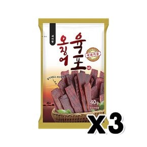 세아랑 오징어육포 술안주간식 40g x 3개