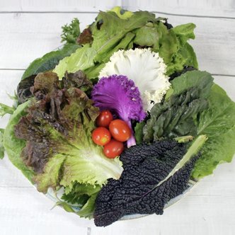  모듬 쌈 채소 20종내외 클로렐라 농법 (800g/1kg)