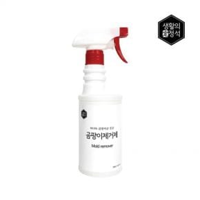 생활의정석 곰팡이제거제 본품 500ml X ( 2매입 )