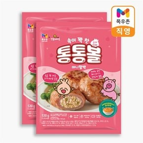 속이 꽉 찬 통통볼 미니함박 고기야채 530gx2개