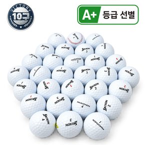 골프공 로스트볼 A+급 10알/빅토리