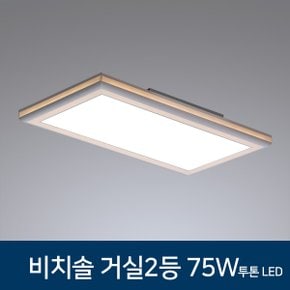 LED 거실2등 비치솔 거실조명 75W