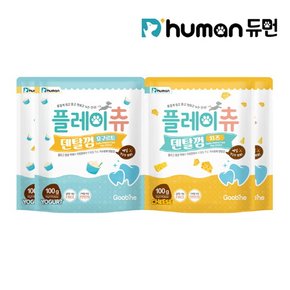 플레이츄 HACCP 덴탈껌 100g 2종 4팩/강아지껌 애견껌 치석케어