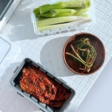 NEW 고급형 김치커터 밀폐용기 그레이 김치통