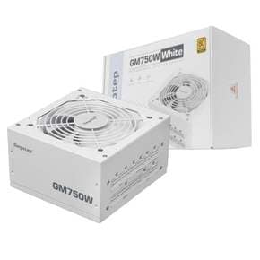 Segotep GM750W 80PLUS GOLD 풀모듈러 ATX 3.1 (PCIE5.1) 화이트