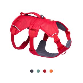 웹 마스터 하네스(Web Master™ Harness)