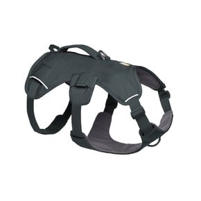 웹 마스터 하네스(Web Master™ Harness)