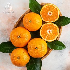 프리미엄 미국산 달콤한 만다린 귤 5kg(61-75과)