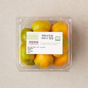 저탄소인증 하우스 감귤 1kg/팩