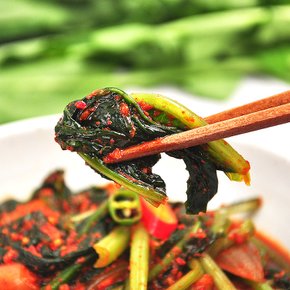 30년 전통 여수 백서방 열무김치 3kg /HACCP인증