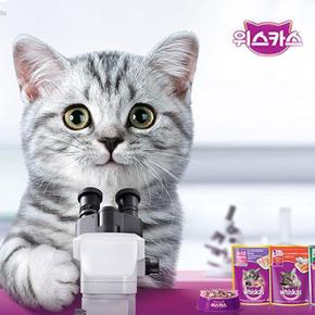 YEW_위스카스팩 고양이사료 주니어 참치 80g