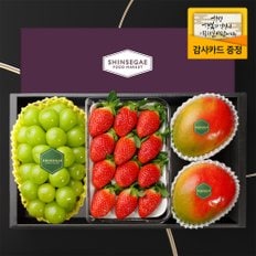 [1/13일 순차출고][산지직송] 씨에스타8호 샤인머스캣(650g) 1입 + 금실딸기 350g + 애플망고(400g) 2입 과일선물세트