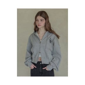 Lossy Big Logo Crop Hood Zip-up Gray