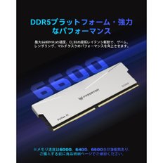 에이서 프레데터 팔라스 II DDR5 6000MHz 32GB (16GBx2) CL32 PC DDR5 (PC5-48000) 인텔 XPM 3.0