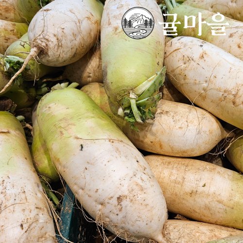 추가2이미지