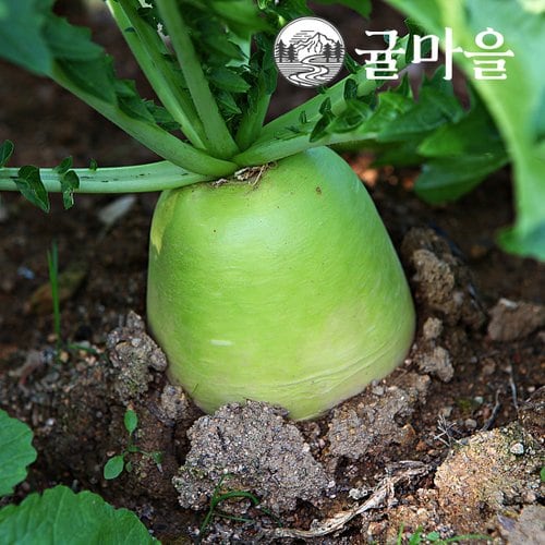 추가3이미지