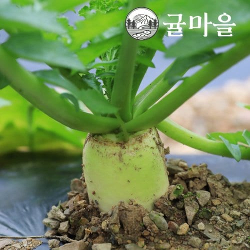 추가4이미지