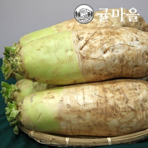 추가5이미지