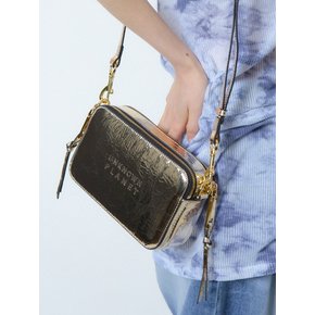 플라넷 클러치백 골드_PLANET CLUTCH BAG GOLD