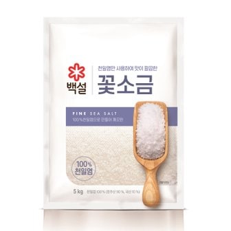 CJ제일제당 백설 꽃소금5kg