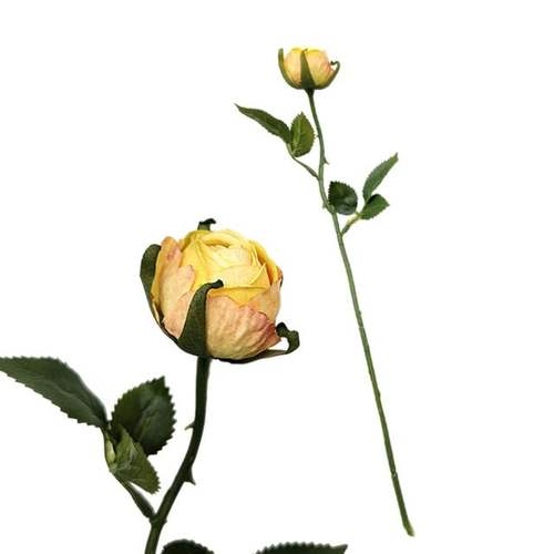 이미지1