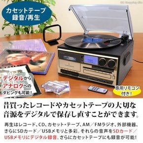 BEARMAX AR-01G CD AM FM SD USB EP LP 레코드 플레이어 카세트 테이프 디지털화 멀티 오디오