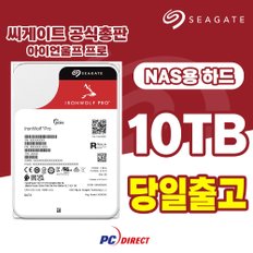 아이언울프프로 10TB NASHDD 하드디스크 HDD 내장하드 ST10000NT001