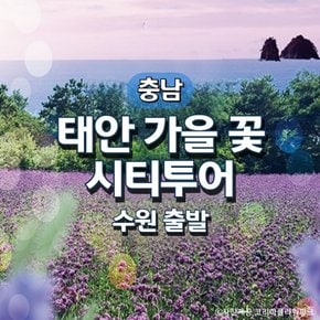 무궁화호 태안 가을꽃 기차여행(수원출발)