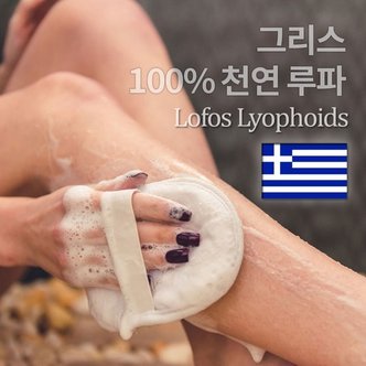 바스참 [Physis] 그리스 직수입 천연 수세미 루파 샤워타월 스크럽 천연수세미 목욕용품