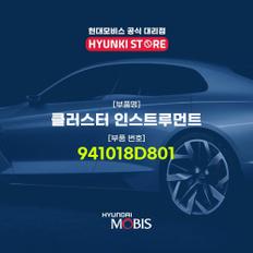 클러스터 인스트루먼트 (941018D801)