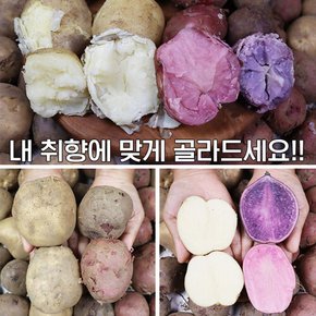 산지직송 햇감자 괴산 자영감자 대왕 3kg